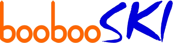 Japan internships partner, boobooski